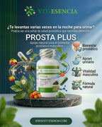 Prosta  plus