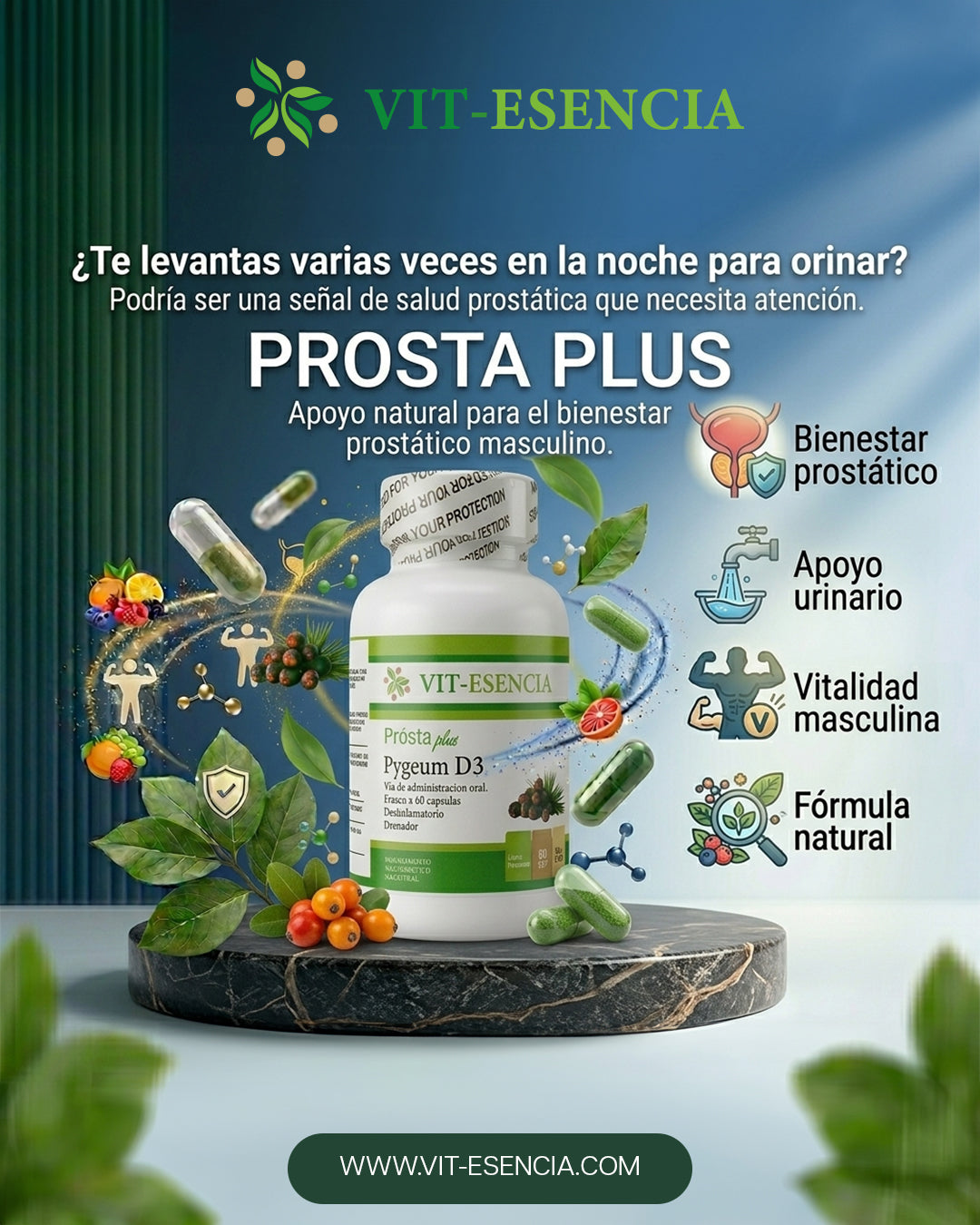 Prosta  plus